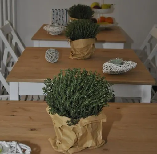 Acquamarina B&B 마리나디마사