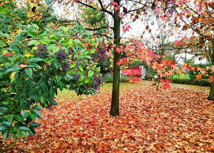 Acquamarina B&B 마리나디마사